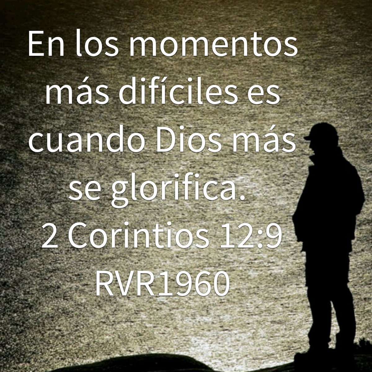 BulmaroCastillo's tweet photo. https://t.co/la8RU1chti
