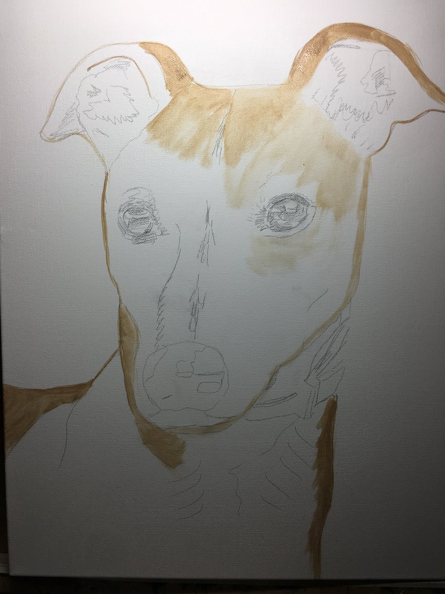 4pawsart's tweet image. ON THE EASEL Toby Stage 1 To commission your own pet portrait  Contact Elaine 4PawsArt.com @NEFollowers  @doggieplaces @durhamhour