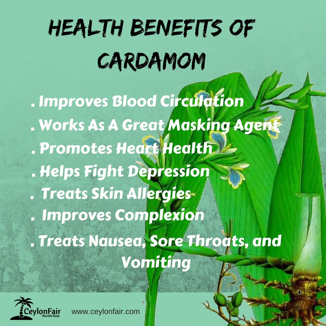 ceylonfair's tweet photo. #cardamom #healthyfood #heart #liftheavy #heathylife #food #healthy #breakfast #spices #ceylonfair #ceylon https://t.co/fdqwec8fD2