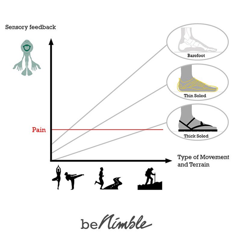 CoachLeeSaxby's tweet photo. The ‘Goldilocks’ principle applied to sensory feedback #benimble https://t.co/fIoEJsFMWe https://t.co/b7b9ttYeHJ