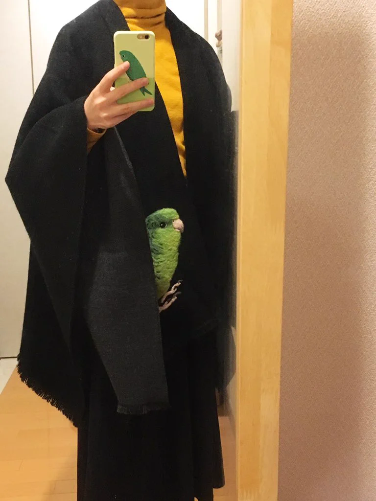大失敗！？リアルすぎるインコの羊毛刺繍wwwかわいいけどデカすぎwww