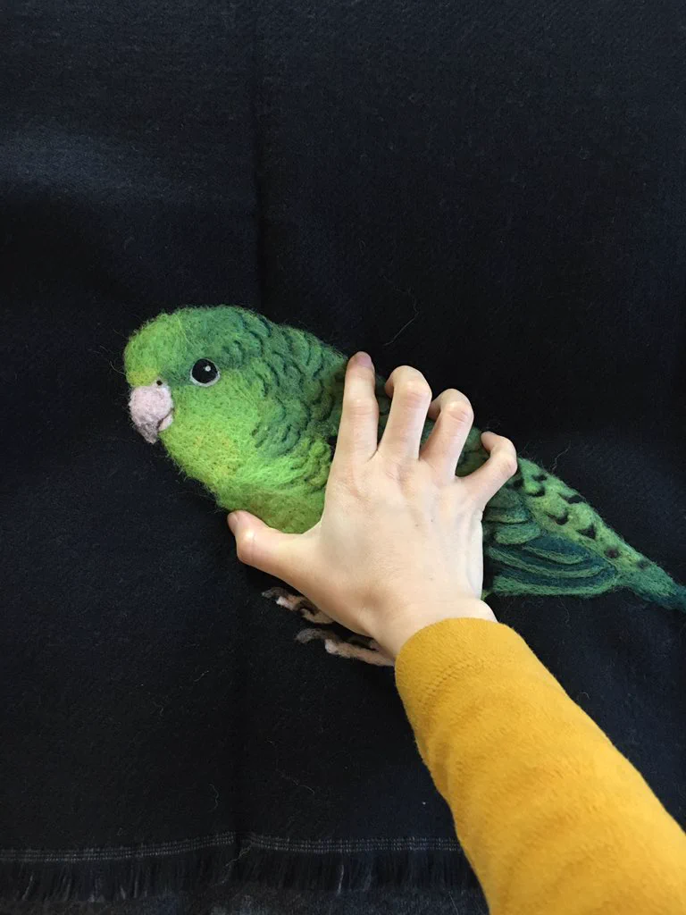 大失敗！？リアルすぎるインコの羊毛刺繍wwwかわいいけどデカすぎwww