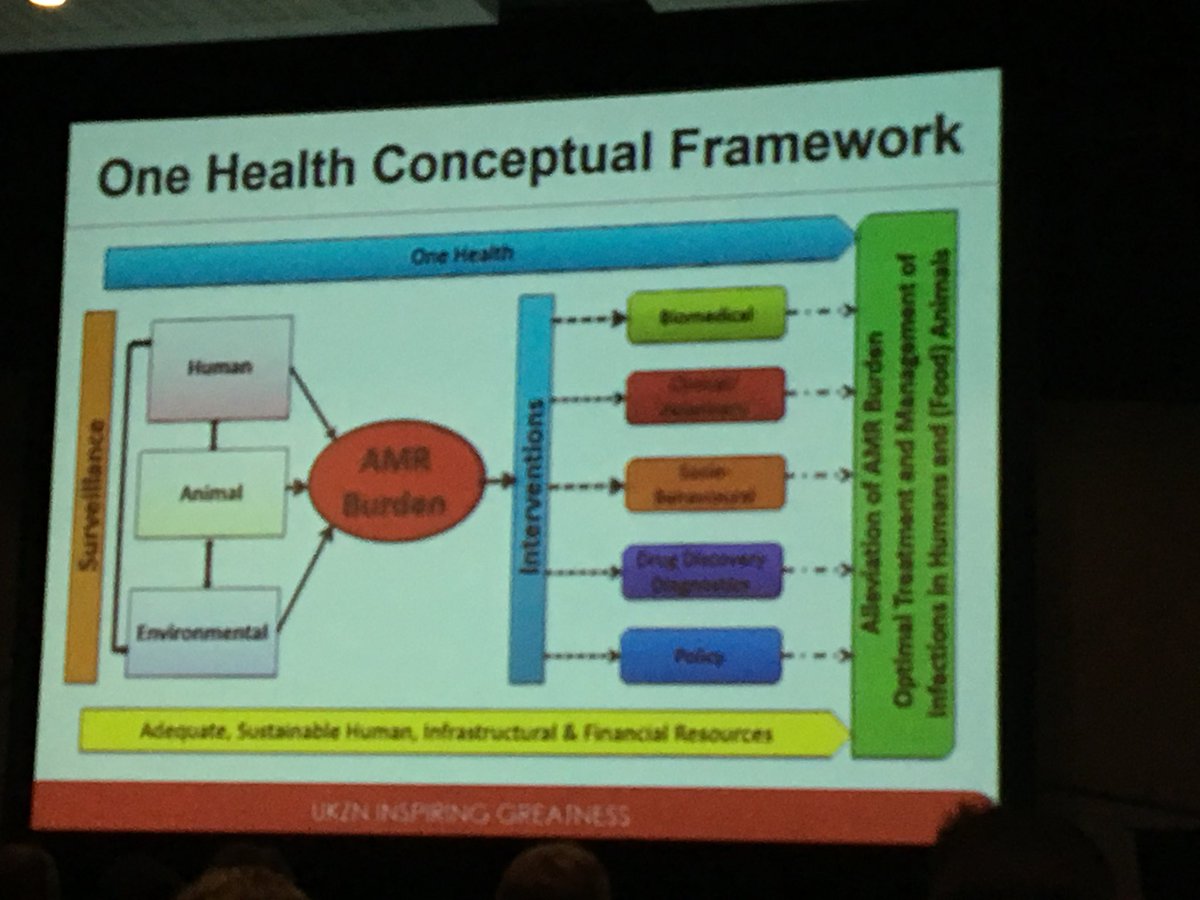 NSchellack's tweet photo. A fantastic day 2 from #AMR, #neonatalsepsis and now @EssackSabiha giving a magnificent overview on the #OneHealthapproach #Fiddsa17 https://t.co/LwjSK6xML9