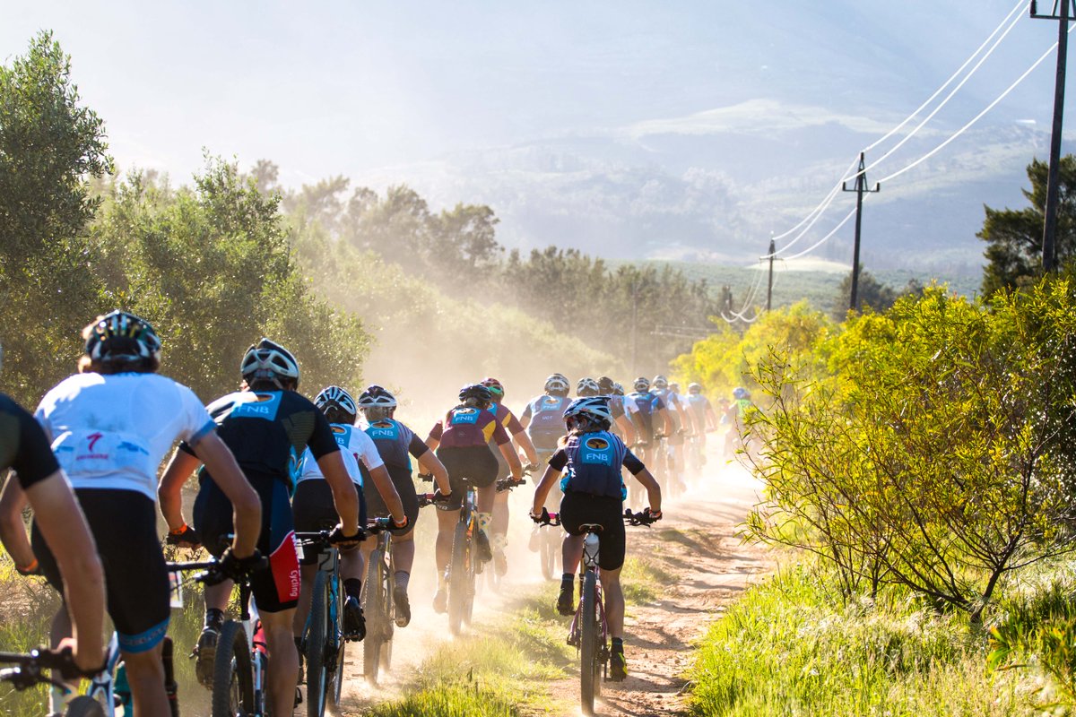 In the Bunch tweet media