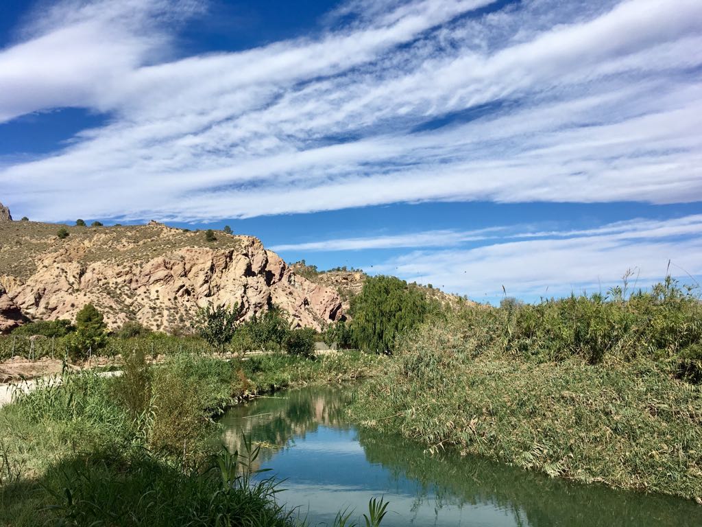 #BuenosDías Aún con menos caudal, el Segura sigue recorriendo parajes impresionantes. Este finde proponemos ruta por El Menjú #Cieza #Abarán es.wikiloc.com/wikiloc/view.d… 📷 de @fjalmansap