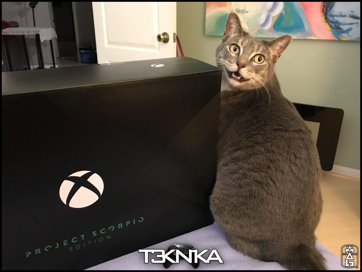 TAGINFINITY's tweet photo. @Xbox #feeltrueemojipower 🐱 https://t.co/v5wvYrC7R8