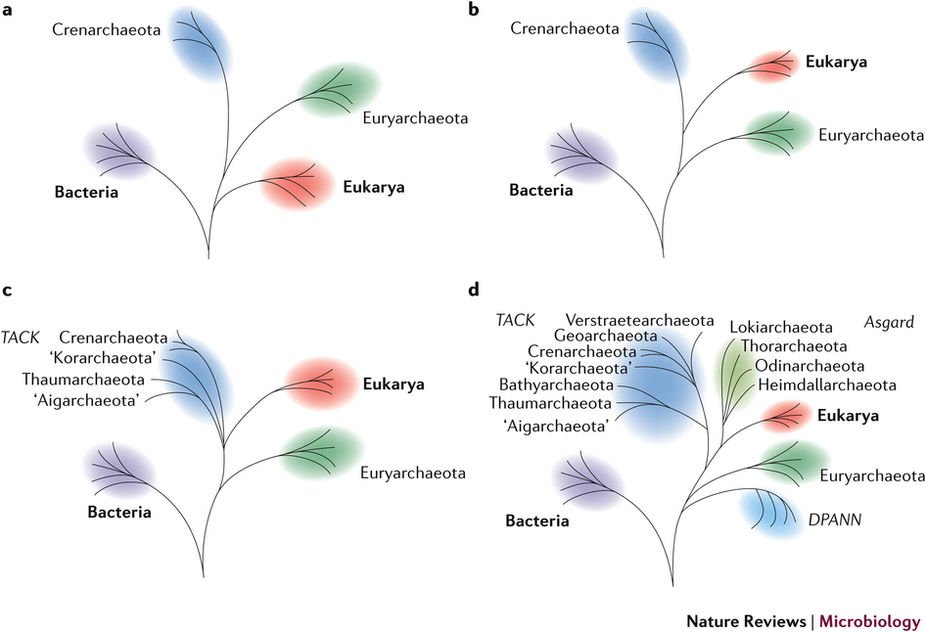 ebook sensory neuroscience