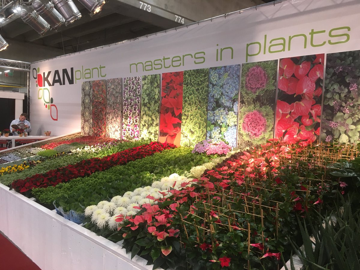 De #Kanplant is er klaar voor! De laatste dag van de #rfhtf Welkom in stand 34.11 <a href="/KANplant/">KANplant</a> #masters in #plants