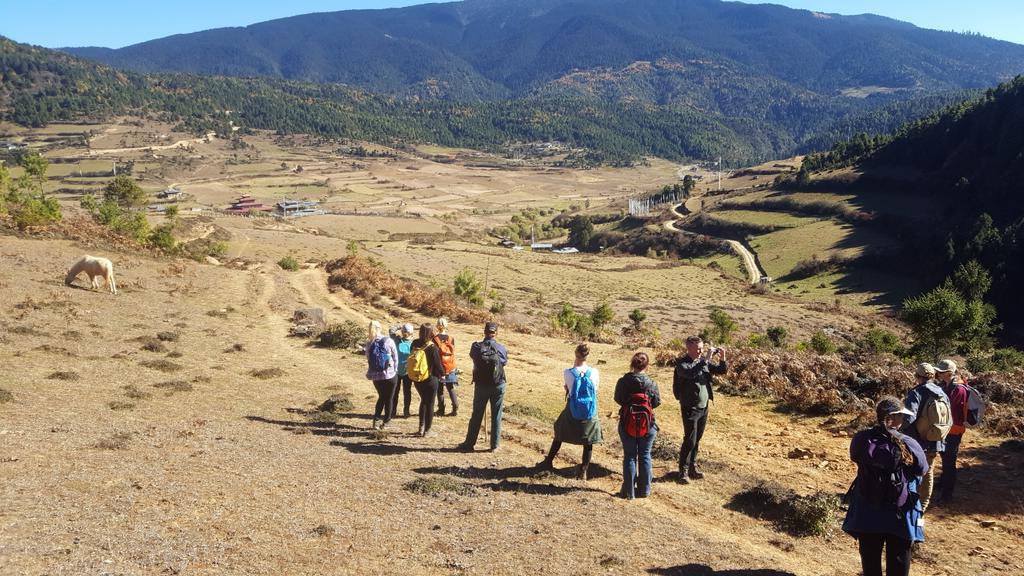 Water_UNE's tweet photo. Vegetation zonation prac through Blue Pine &amp; Spruce forests to the remote village of Oura. #UNEBHUTAN17 @ERS_UNE https://t.co/xopa4ZrqNk
