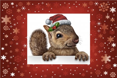 CampaignAsia's tweet photo. The #JohnLewisChristmas ad is out, if that's something that excites you. Our pal #AdNut pronounces it a big fat hairy meh. https://t.co/2tBBaC5wO3 #MozTheMonster https://t.co/ov0pc3MUOi