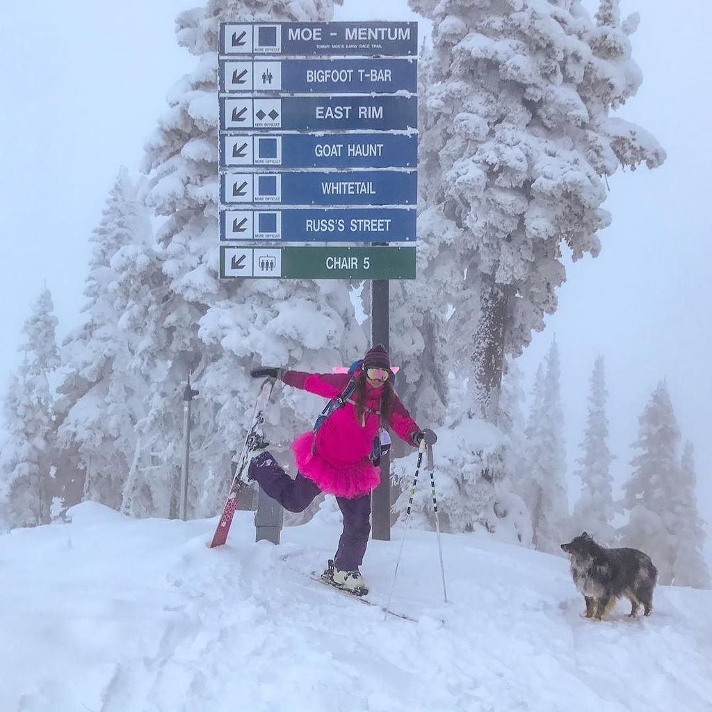 Towne Printer (TownePrinter) Twitter