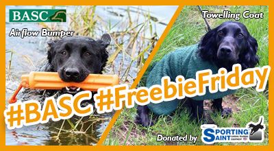 It's that time of the week again... #FreebieFriday! 
WIN a towelling coat &amp; Airflow bumper dummy for your #BASCGundog, generously donated by <a href="/SPORTINGSAINT/">SPORTING SAINT</a>
Simply Follow &amp; RT this post. #Competition #Winner #GiveAway #GoodLuck