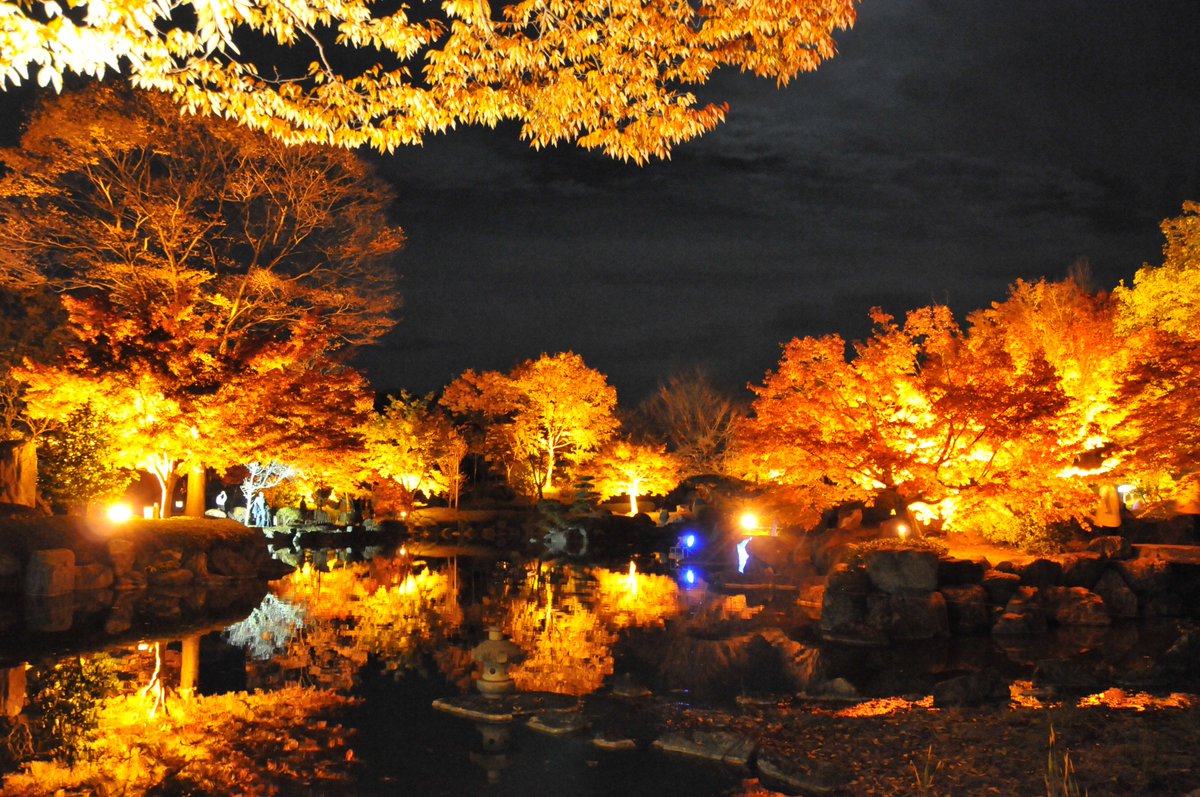 藤岡市 V Twitter 桜山公園 桜山公園では紅葉が見頃を迎えています 午後４時から午後９時 11月26日まで はライトアップも行なっていますのでぜひお越しください また冬桜はもう少しで見頃を迎えます 美しい冬桜と紅葉の競演をお楽しみください T Co