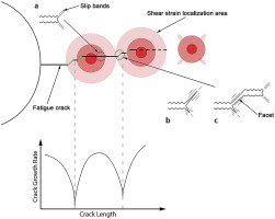 buy plankton dynamics of the southern