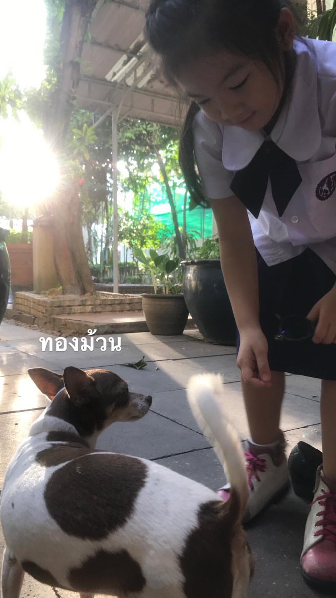 ทองม้วน 🐶