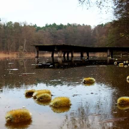 Eindeutig Drinbleibewetter heute und am Wochenende.

Wir wünschen all unseren Lesern einen stressfreien Freitag und gutes Gelingen. 

Foto: Ladeburg (LIVE)

#barnim #bernau #ladeburg #herbst #november #lobetal