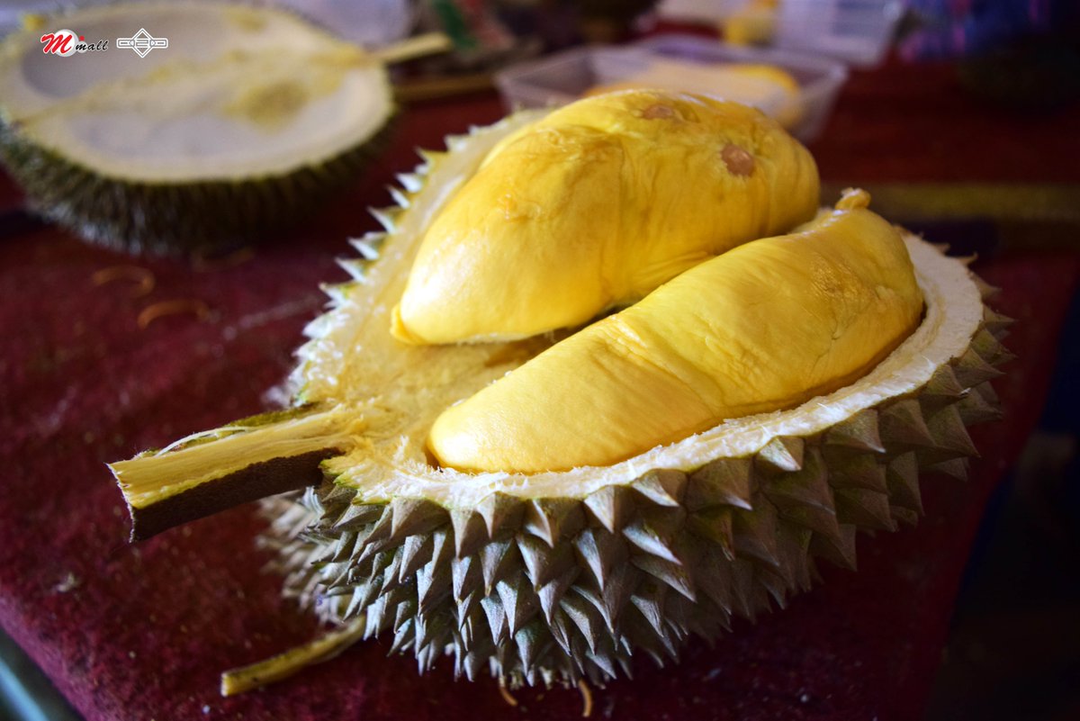 Mmall_'s tweet photo. Well looky here, the best durian from Balik Pulau is finally arrived at M Mall again ! Bet you could smell it from afar, wait no more ! Grab it now at M Mall 4th Floor (Car Park) ;) (y) <3
#MMallO2O #Durian #BalikPulau #DurianLovers https://t.co/3ZrkMau9CS