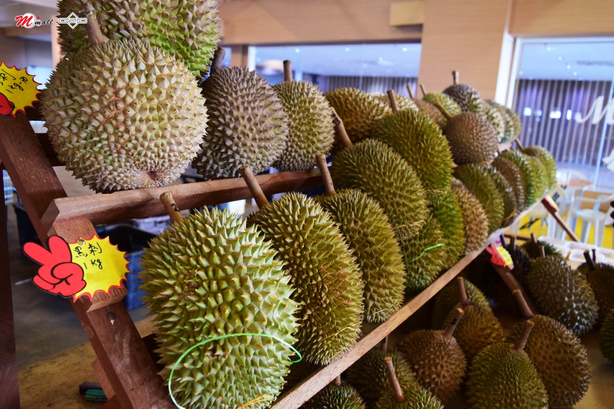 Mmall_'s tweet photo. Well looky here, the best durian from Balik Pulau is finally arrived at M Mall again ! Bet you could smell it from afar, wait no more ! Grab it now at M Mall 4th Floor (Car Park) ;) (y) <3
#MMallO2O #Durian #BalikPulau #DurianLovers https://t.co/3ZrkMau9CS
