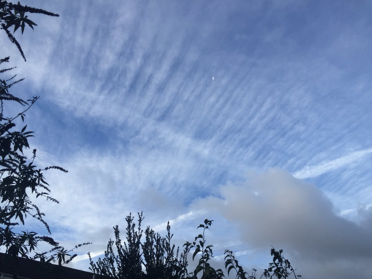 joanne_nowell's tweet photo. Murdering the skies over St Austell early today. Don’t stand by and let this happen. #WEDONOTCONSENT #IDONOTCONSENT #OpChemtrails https://t.co/SX7AuGTywJ
