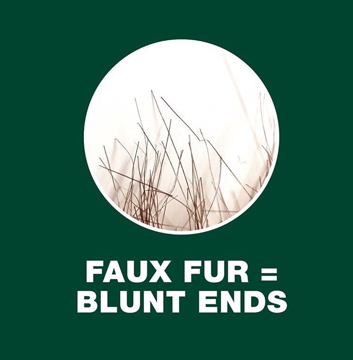 ExeterLush's tweet photo. Labels can lie! Here is a way to check for real fur before you buy.
#whatthefur #FurFreeBritain 
@HSIGlobal https://t.co/OQdiAbjrsJ