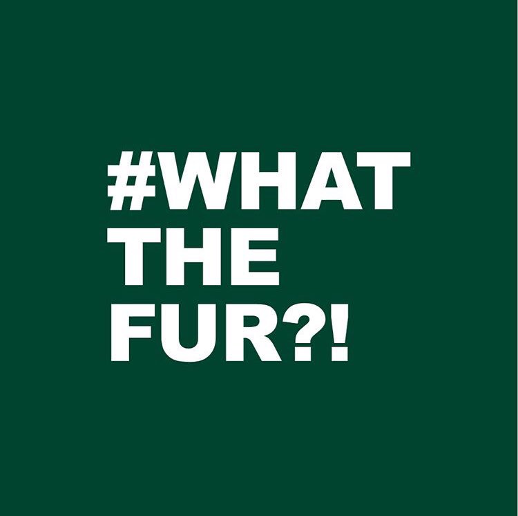 ExeterLush's tweet photo. Labels can lie! Here is a way to check for real fur before you buy.
#whatthefur #FurFreeBritain 
@HSIGlobal https://t.co/OQdiAbjrsJ