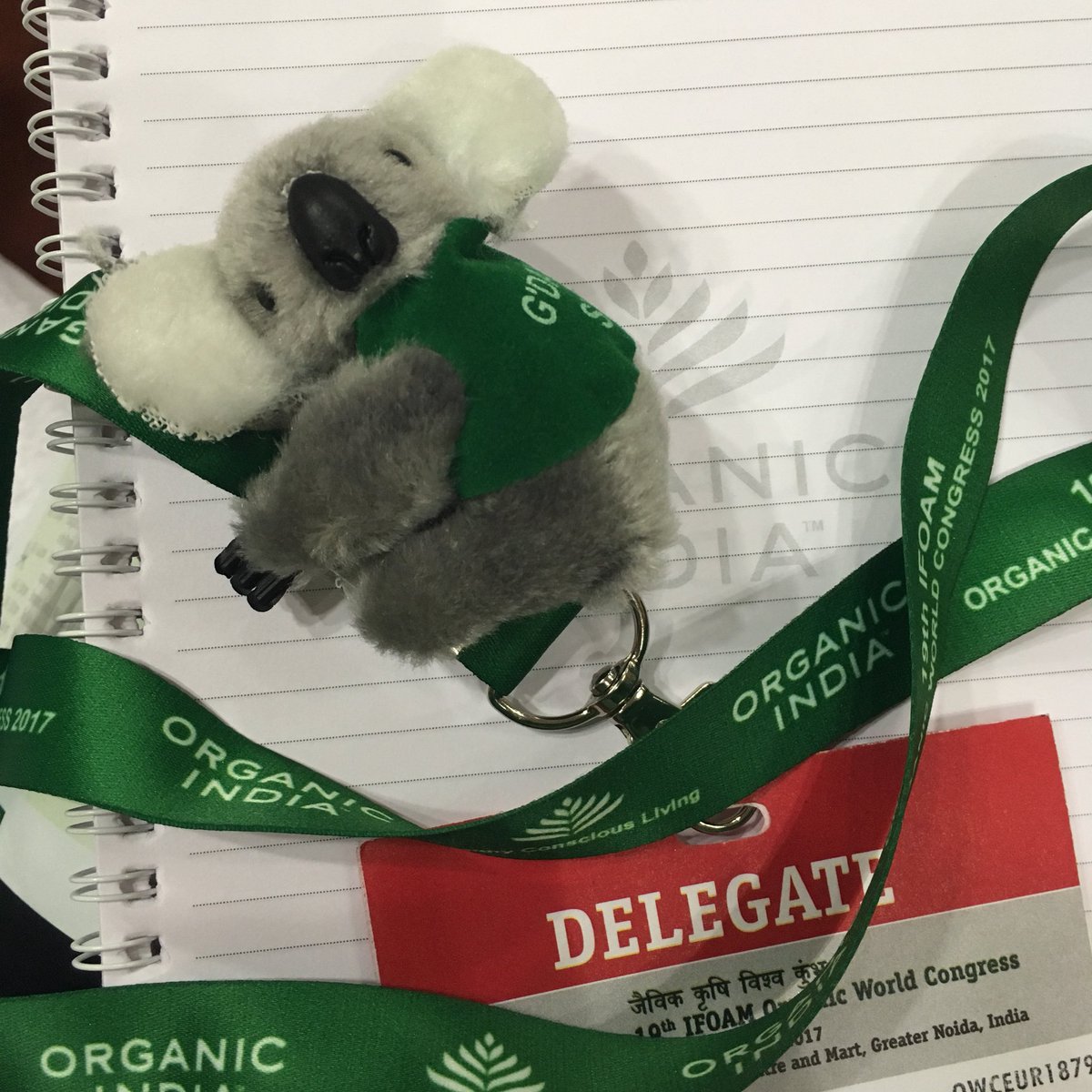 ellejeandolores's tweet photo. New mate 🐨 thanks @SydneyIFOAM2020 for recommending an interesting stand on organics in Kerala!! 🌿🌾🌱 @GLOSSshef @owc_India #GLI #organic #shefOWC #owc2017 https://t.co/JTSOAYga34