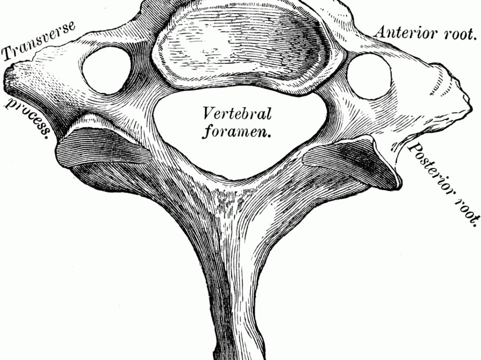 Jacobi/Montefiore EM tweet media