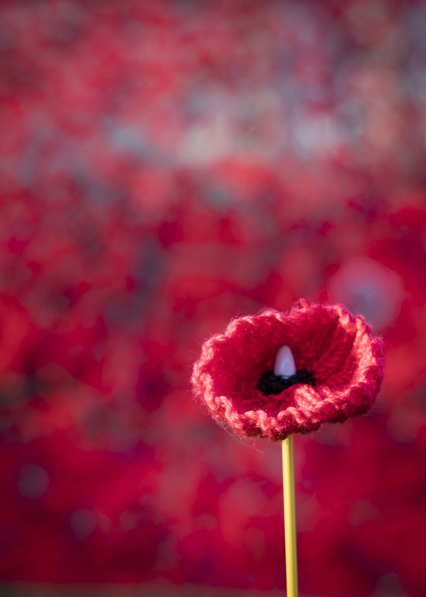 ADM_2_0's tweet photo. Armistice Day and Remembrance Sunday this weekend. If you can get down to Aberlady Church they have a beautiful wall of poppies to commemorate the event and it’s stunning. Lest we forget. #armistice #armisticeday #war #remeberance #sunday #remeberanceday #poppies #eastlothian https://t.co/q6gswIjDku