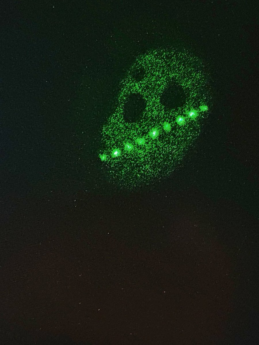 illusciences's tweet photo. La célula verde sonriente https://t.co/mAYyrQJyXg ¿Que sucede cuando se daña nuestro #ADN? #ciencia #divulgacion https://t.co/KuPOjAISIs