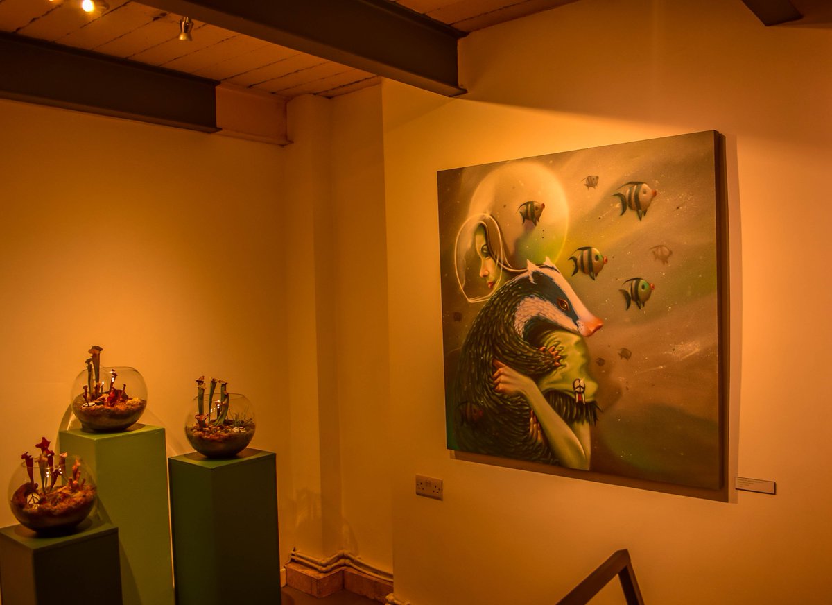 An excellent showcase at <a href="/BSMTSPACE/">BSMT Space</a> gallery for <a href="/Rocket01/">Rocket01</a>'s #Terrarium exhibition last night.