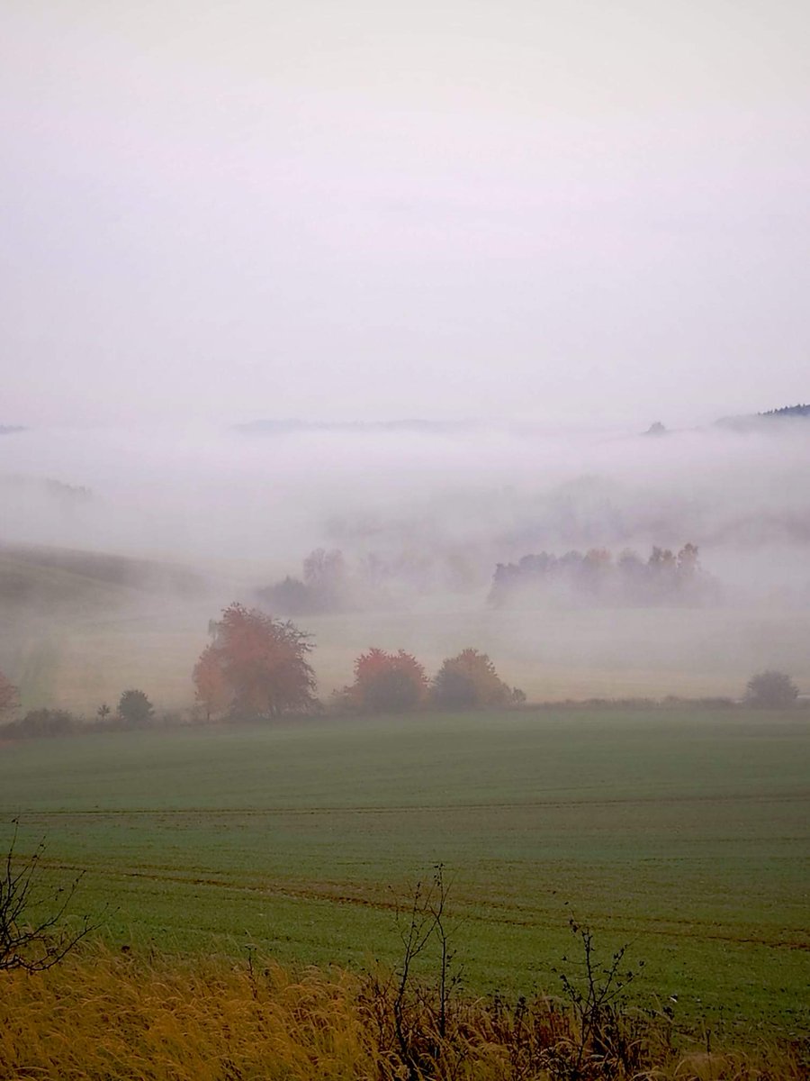 pantrumpetka's tweet photo. A rána jsou zde tichá #vysocina #olesnice #Autumn #mlha https://t.co/dh47b8clQh