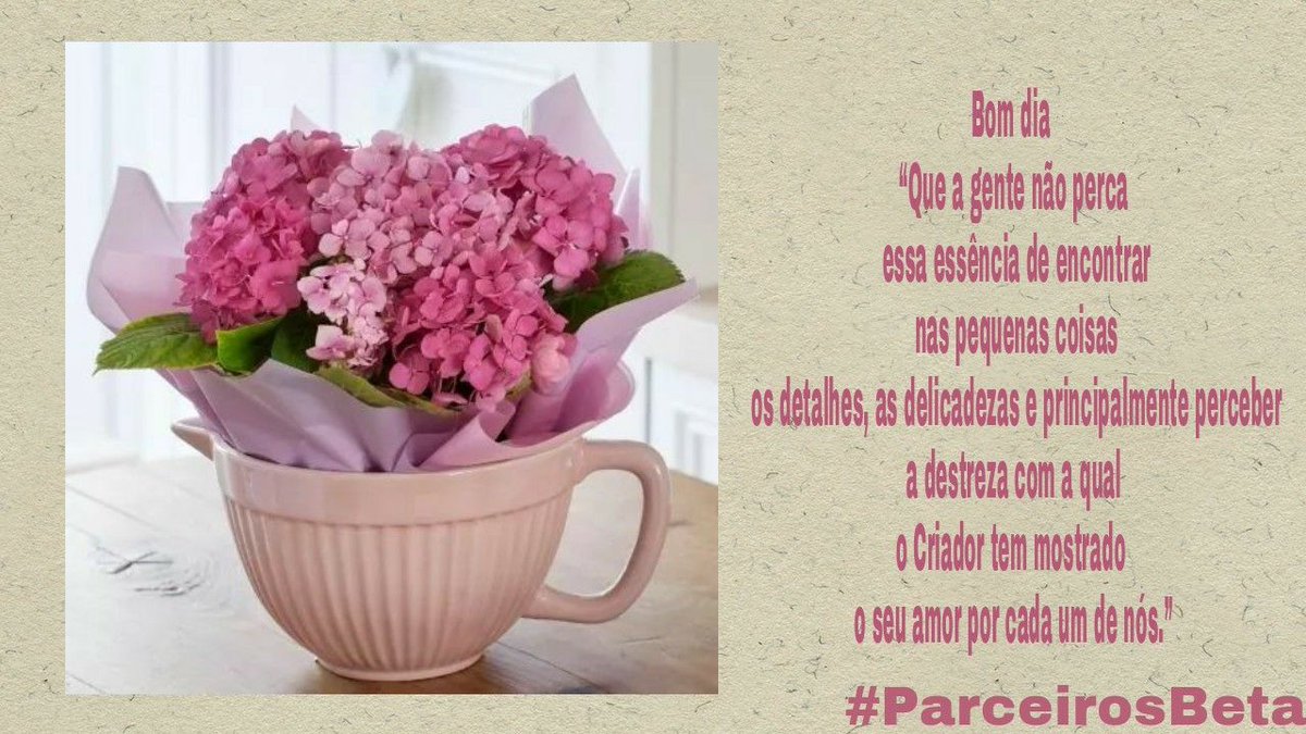 Marta #ParceirosBeta (@martagu97545484) on Twitter photo 