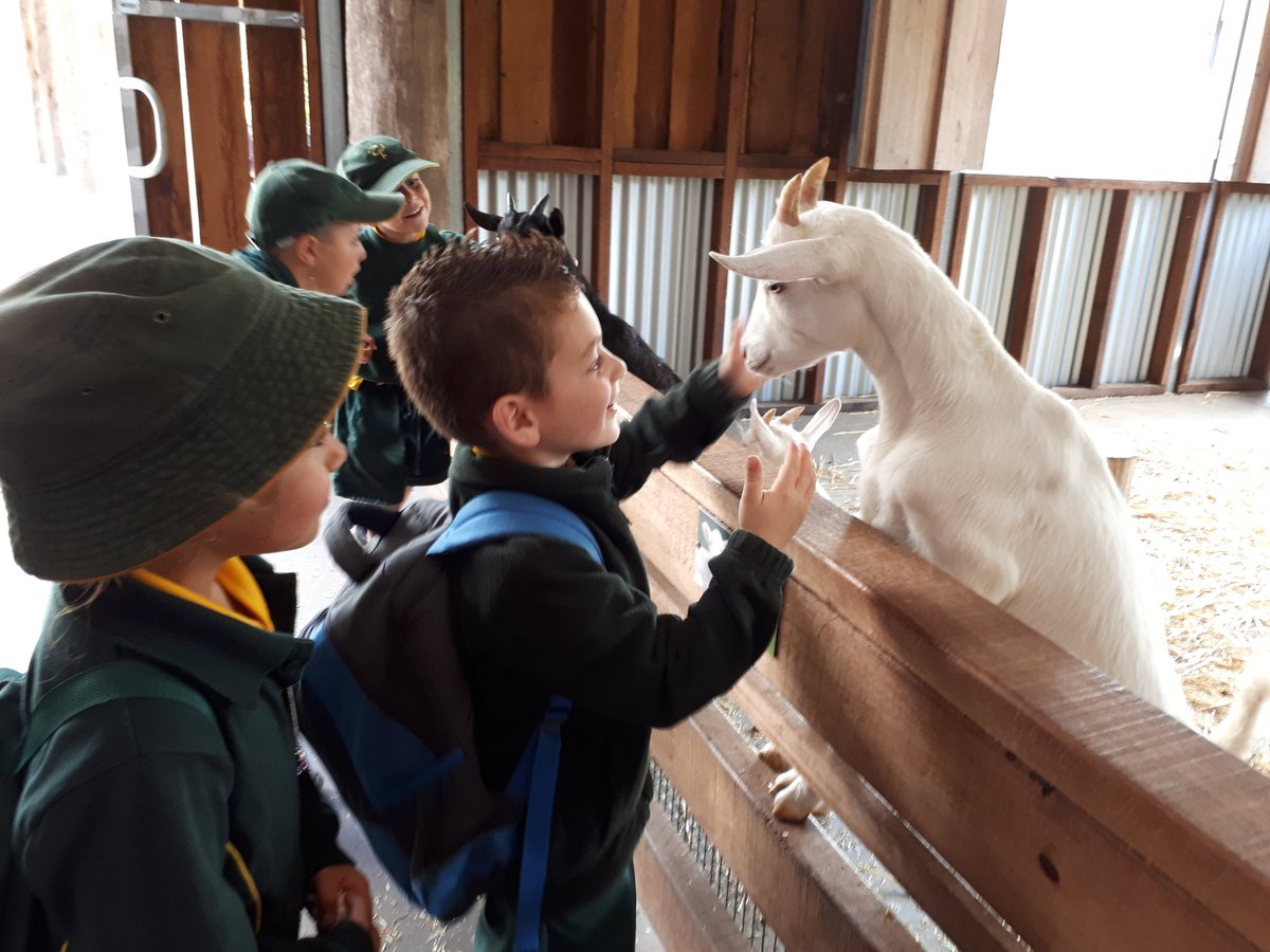 Christine Hoppitt tweet media