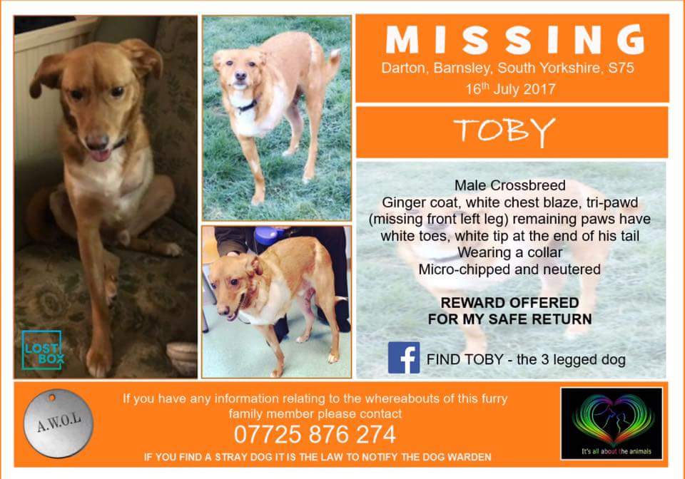 Find Tripawd Toby (@findtripawdtoby) on Twitter photo #FF Help find Toby and bring him home #Darton #Tripawd <a href="/rescueRAW/">RoystonAnimalWelfare</a> <a href="/RobroydKennels/">Robroyd kennels</a> <a href="/radardogrescue/">radar dog rescue</a> <a href="/rainrescue/">Rain Rescue</a> <a href="/RotherhamDogRes/">Rotherham Dog Rescue</a> <a href="/WillowDogRescue/">Willow Dog Rescue</a> <a href="/findzalaandzeus/">Find Zala & Zeus</a> <a href="/Barnsley_UK/">BarnsleyisBrill</a> <a href="/BarnsleyV4P/">Barnsley Vets4Pets</a> #FF Help find Toby and bring him home #Darton #Tripawd <a href="/rescueRAW/">RoystonAnimalWelfare</a> <a href="/RobroydKennels/">Robroyd kennels</a> <a href="/radardogrescue/">radar dog rescue</a> <a href="/rainrescue/">Rain Rescue</a> <a href="/RotherhamDogRes/">Rotherham Dog Rescue</a> <a href="/WillowDogRescue/">Willow Dog Rescue</a> <a href="/findzalaandzeus/">Find Zala & Zeus</a> <a href="/Barnsley_UK/">BarnsleyisBrill</a> <a href="/BarnsleyV4P/">Barnsley Vets4Pets</a>
