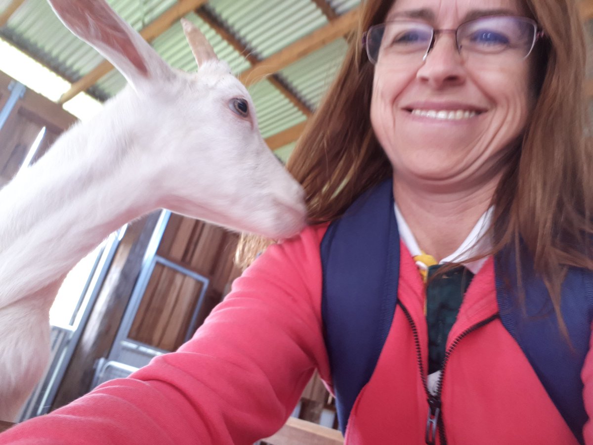 Christine Hoppitt tweet media