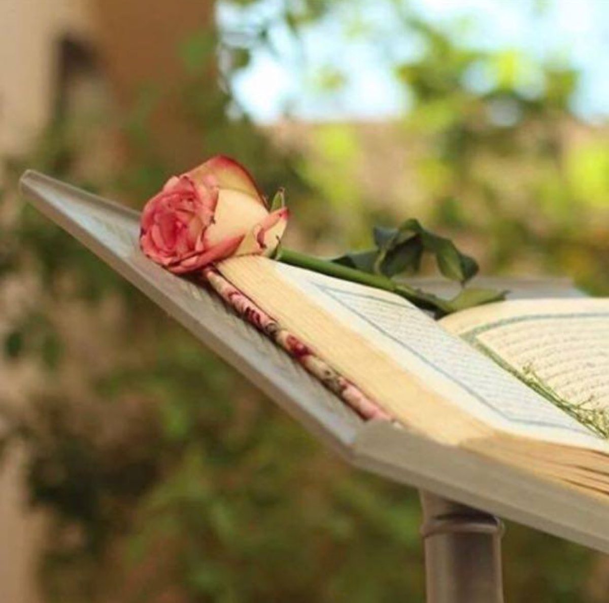 Dar3omar's tweet photo. وما الجمعة إلا عيدٌ لـ قلبك ❤
رتل آيات الكهف 📖 💕
صَل وسلّم على النبي مُحمد ☁
ابعث دعواتك إلى ربك 🌸

#يوم_الجمعه https://t.co/SsOZAbxIMQ