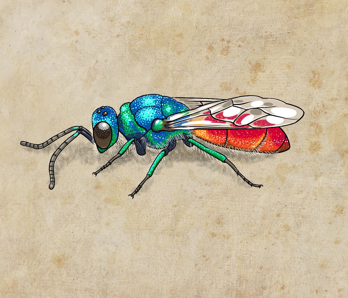 AmazeBee's tweet image. @BlueBeeSolution @SalisburyTile @ChafynGrove @SalisburyArts @FishertonMill @NYR_Official @williams_nikky @LaverstockPC @R2GoSalisbury @goodfayre @Barrakav @salisburybid are the #Salisbury #BeeTrail #Sponsors! @SpireFM #Salisburyhour #BBCWilts #Defra #Pollinators #Kew #Growwild