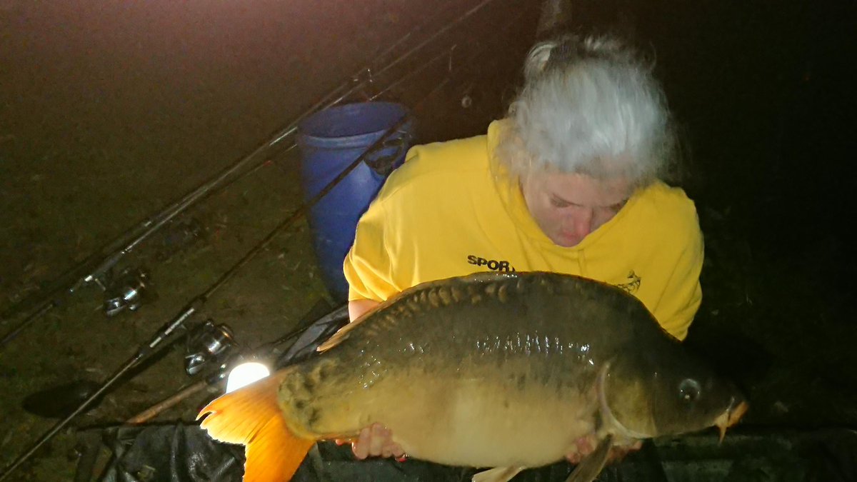 celine lesieur (@cacouette36) on Twitter photo 