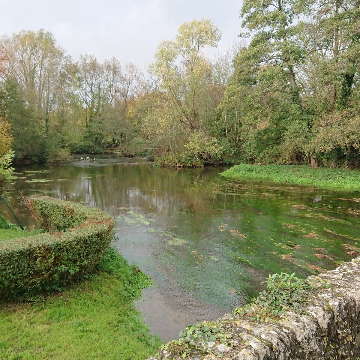 celine lesieur (@cacouette36) on Twitter photo 