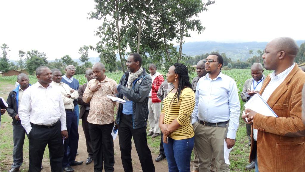 CCAdaptationRw's tweet photo. TAG&LSC meeting members yesterday visited different sites of #RV3CBA activities @MusanzeDistrict & @NyabihuDistrict and they have appreciated the project progress so far @EnvironmentRw @info_rwfa @Ngaprime @musasebin @adaptationfund https://t.co/LZUWZsjCjD