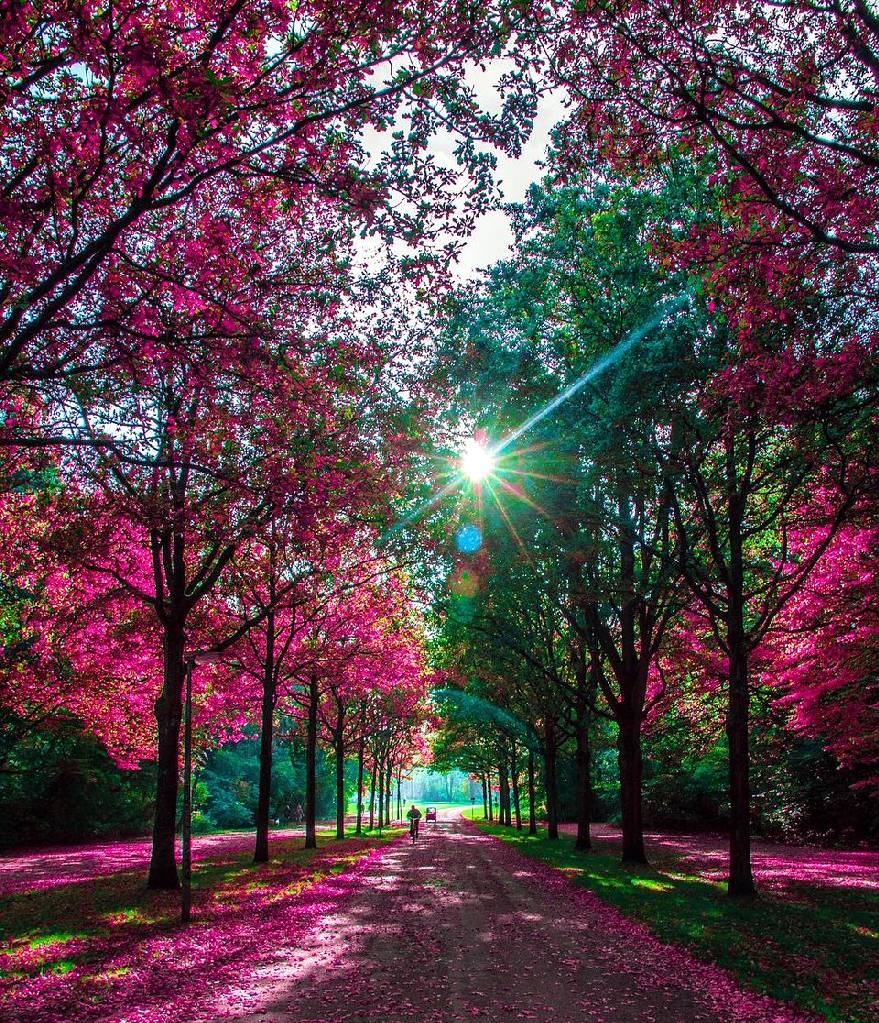 DJ29067's tweet image. 