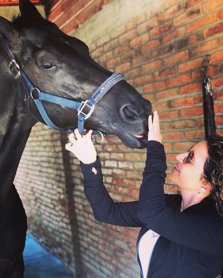 VirginiaYarur's tweet photo. Endy Rava 💕🐴
.
https://t.co/WoeBfOtS9i
.
#twohearts #dressage #teamchile #dressagehorse 
@TeamChile @FEI_Global @ESP_GDF @GlobalDressage https://t.co/YDCnQfnoqF