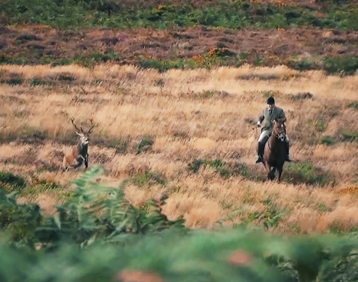 LeagueACS's tweet photo. Stag hunts can last 3 hours and can cover 18km. Red deer do not have sweat glands, overheat quickly and are not made for endurance running. A hunted deer’s last hours will be filled by exhaustion and panic. https://t.co/Jrox4uq4Bj https://t.co/Ls7sWVEUd9