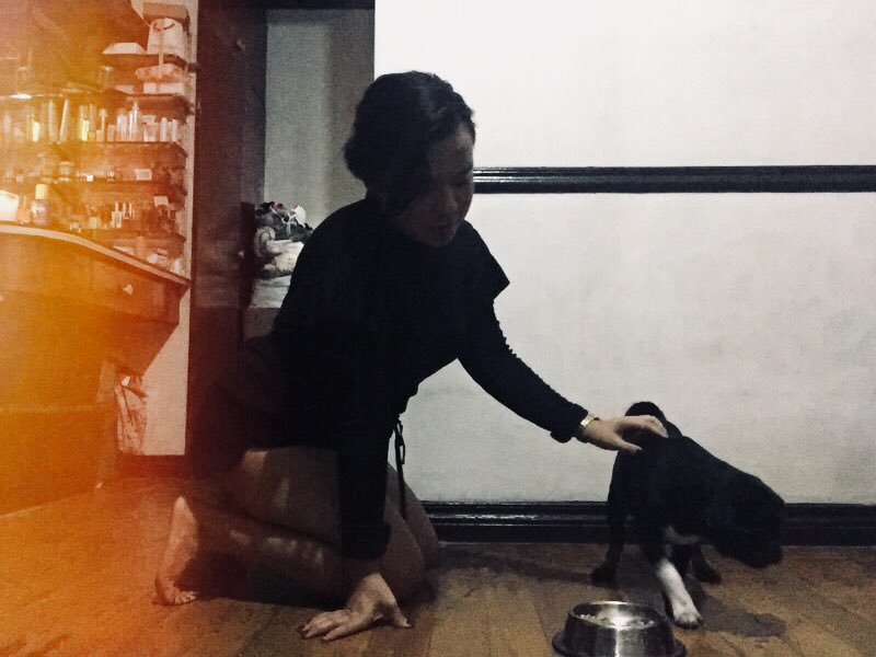 _arichive's tweet photo. my demo dog #strangerpugs #pedigreeisshookt https://t.co/oW9tSvu98v