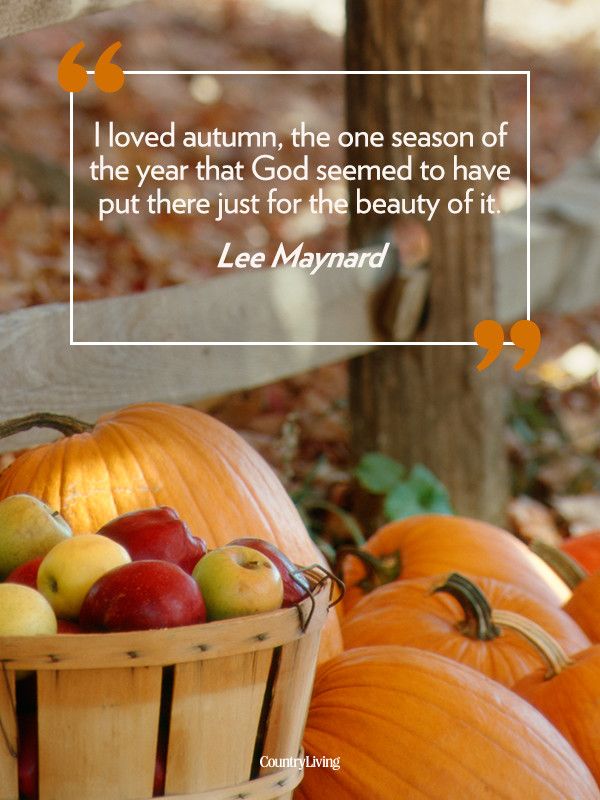 belairFM's tweet photo. Happy Friday! Market day tomorrow! 7 to 11 a.m. #eatlocal #getyourfallon #lovefall https://t.co/qGOfW4sAes