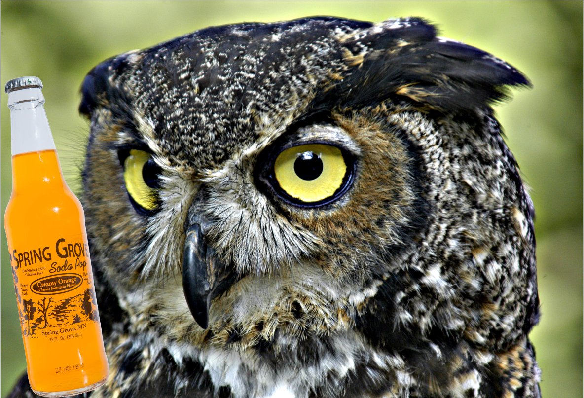 SpringGroveSoda's tweet photo. Kid: "Mr. Owl, how many sips does it take to get to the bottom of a Spring Grove Soda Pop?"
Mr. Owl: "Let's find out..."
How many sips does it take to get to the bottom of a Spring Grove Soda Pop? The world may never know!
#SpringGroveSodaPop https://t.co/8VVYtdHRRk