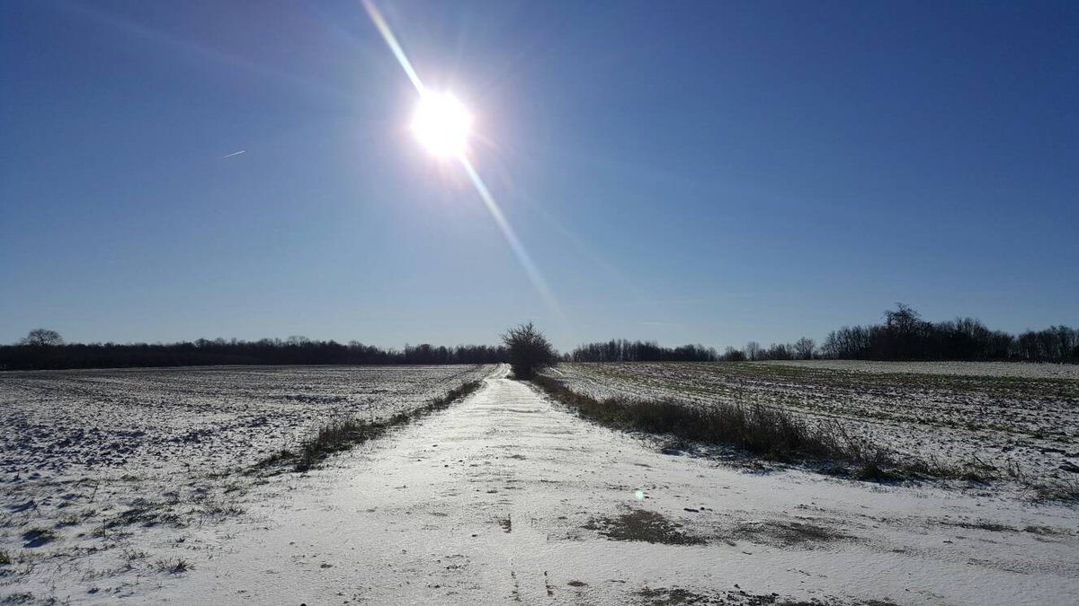 pfenningsfarm's tweet photo. Obligatory shot of the 1st real snowfall this season. It is pretty even if I can't feel my fingers. #pfennings4me #NovemberBeauty #farmlife https://t.co/9SgQkBJeul