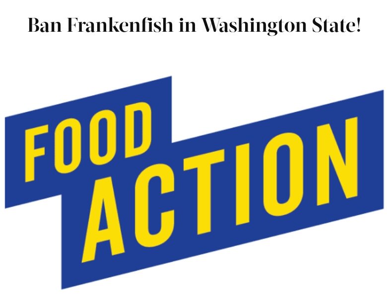 DaniNierenberg's tweet photo. Local organization @food_action sets out to ban Frankenfish (GMOS Salmon) from legally being sold in Washington State: https://t.co/nBCbS49xxl https://t.co/s0yqZjnyjP