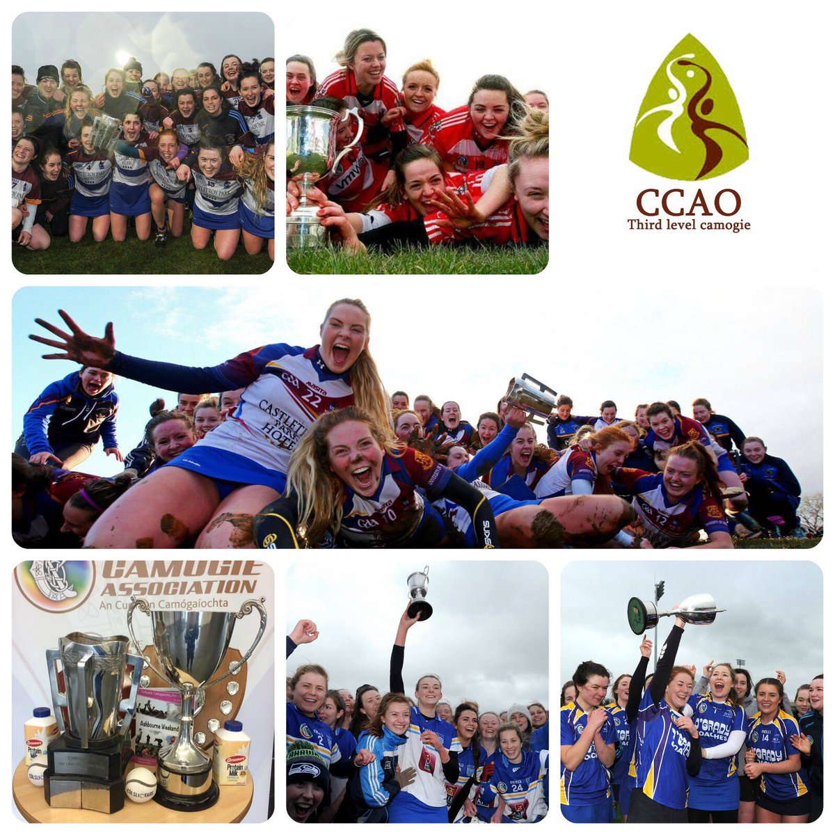 Electric Ireland Third Level Camogie tweet media