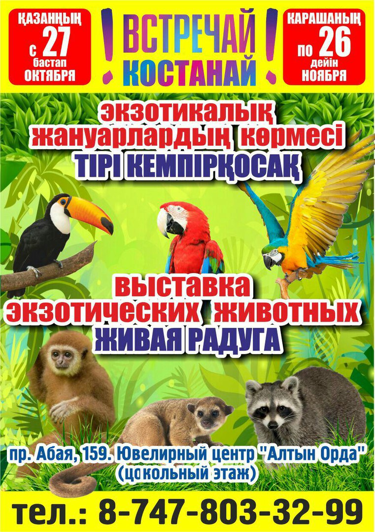 alya9966's tweet photo. Выставка экзотических животных "Живая радуга" теперь в Костанае ❗❗❗
с 27 октября по 26 ноября.  Не пропустите❕❕❕
https://t.co/Wdv5AZO1uQ ⬅ основная информация ❗❗ https://t.co/yxVzwKTmxu